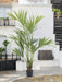 Kentia - Palma Artificiale
