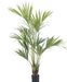Kentia - Palma Artificiale