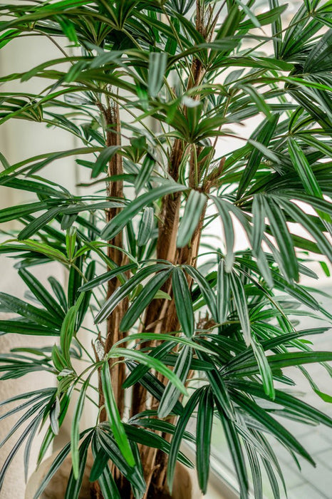 Bambù Artificiale Lady