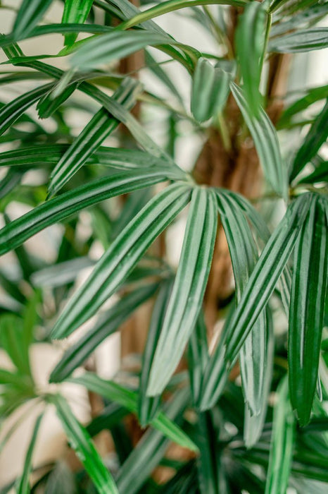 Bambù Artificiale Lady