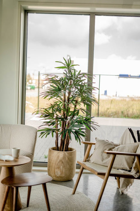 Bambù Artificiale Lady