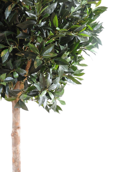 Palla Di Alloro Artificiale 180 Cm Per Giardino