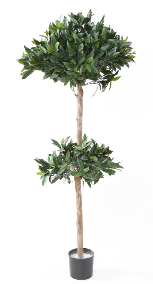 Doppia Sfera Di Alloro Artificiale 170Cm Resistente Ai Raggi Uv