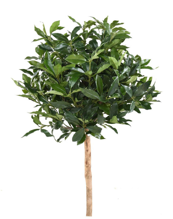 Pianta Da Interno Artificiale Alloro Lusitanica 140 Cm