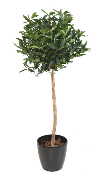 Pianta Da Interno Artificiale Alloro Lusitanica 140 Cm