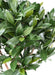 Nobilis Alloro Artificiale Resistente Uv H.130Cm Verde
