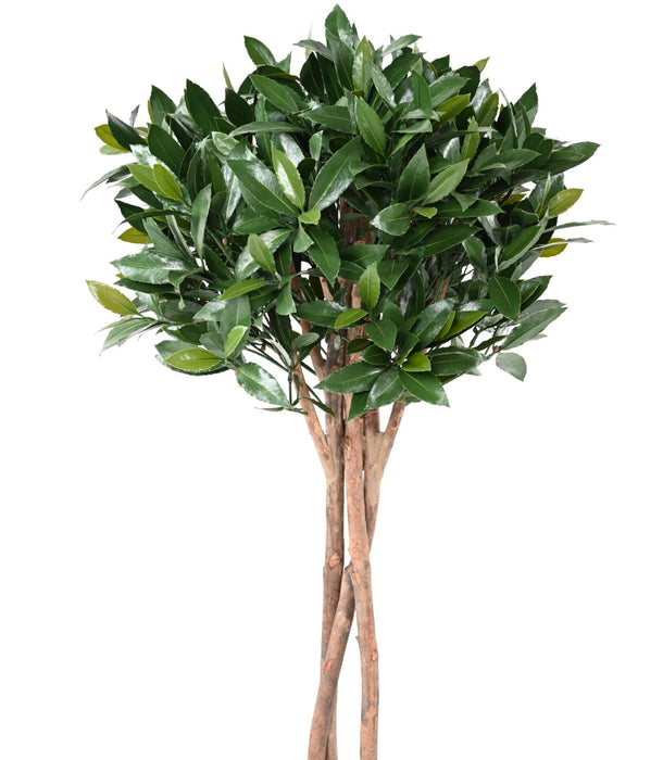 Nobilis Alloro Artificiale Resistente Uv H.130Cm Verde
