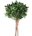 Nobilis Alloro Artificiale Resistente Uv H.130Cm Verde