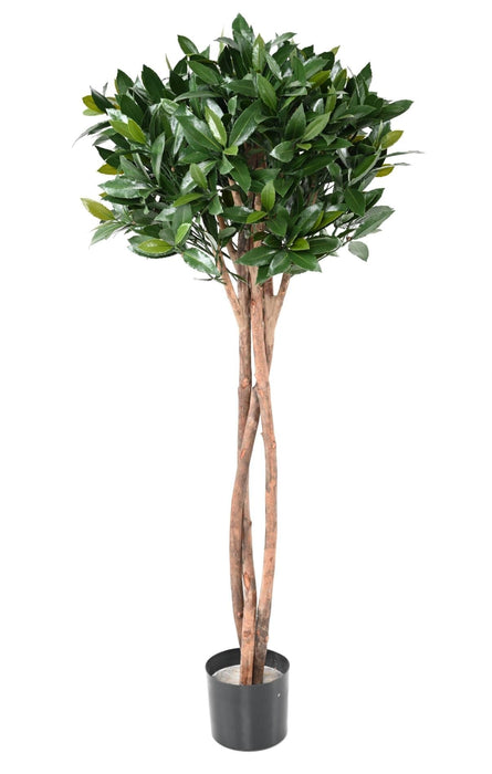 Nobilis Alloro Artificiale Resistente Uv H.130Cm Verde