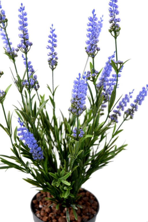 Lavanda Artificiale Sul Palo Per La Decorazione Esterna