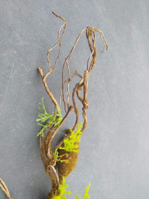 Liana Artificiale Con Palline Di Muschio 95 Cm