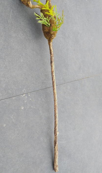 Liana Artificiale Con Palline Di Muschio 95 Cm