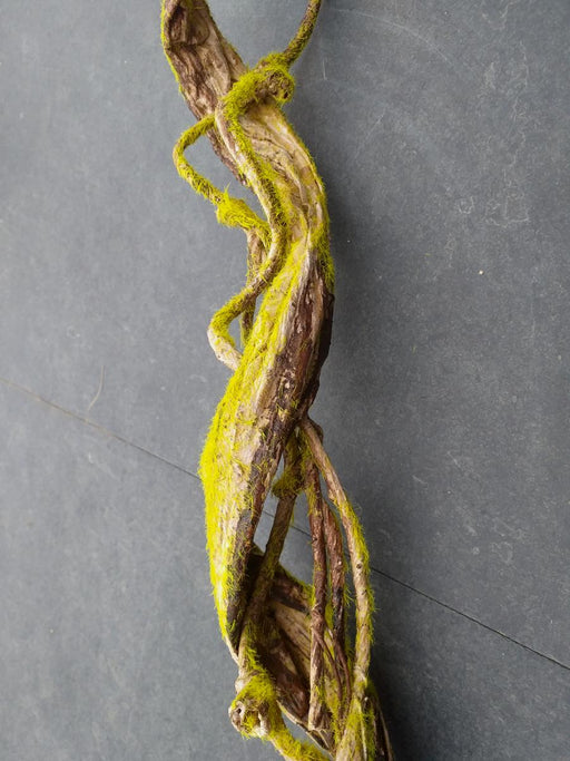 Liana Artificiale Con Muschio Per La Decorazione D'interni