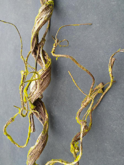 Liana Artificiale Con Muschio Per La Decorazione D'interni