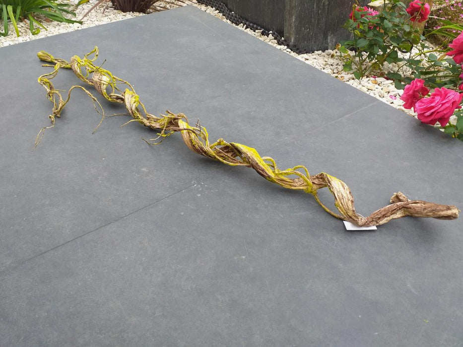 Liana Artificiale Con Muschio Per La Decorazione D'interni