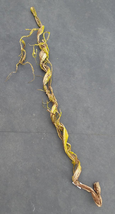 Liana Artificiale Con Muschio Per La Decorazione D'interni