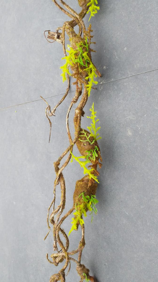 Liana Muschio Artificiale 100Cm Decorazione Interni