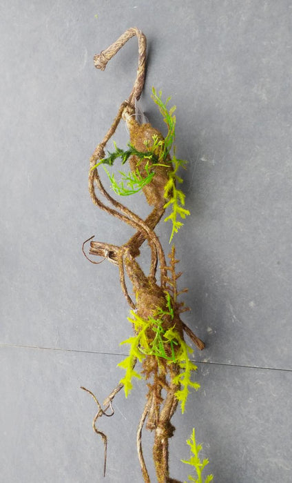 Liana Muschio Artificiale 100Cm Decorazione Interni