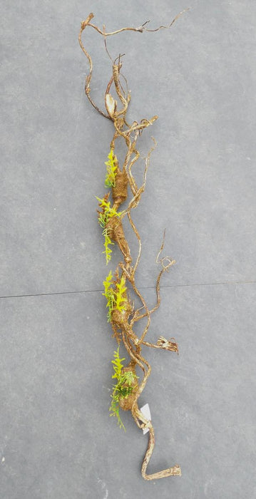 Liana Muschio Artificiale 100Cm Decorazione Interni