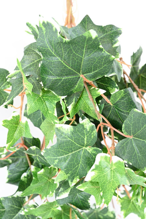 Edera Artificiale 118 Foglie 60Cm Verde Bianco
