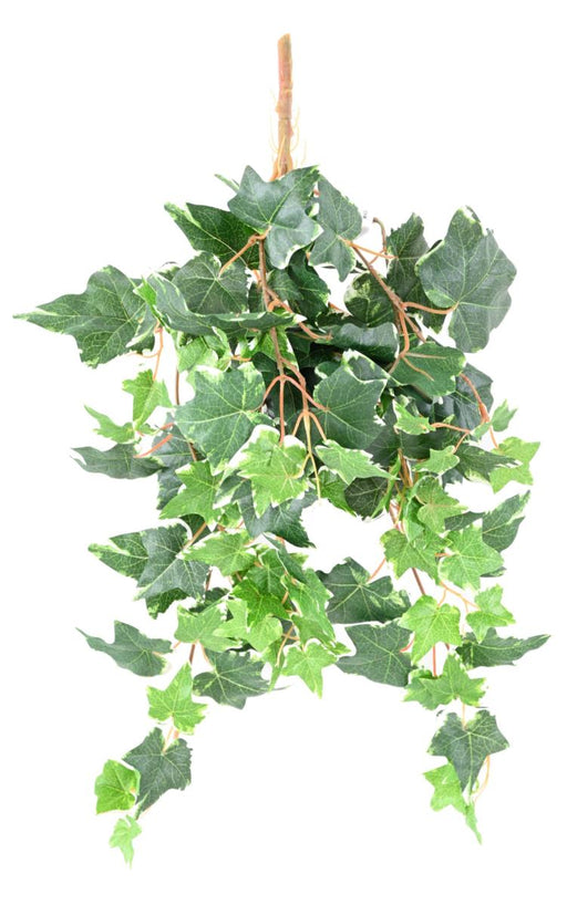 Edera Artificiale 118 Foglie 60Cm Verde Bianco