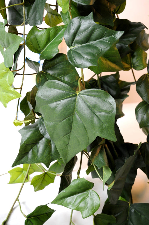 Edera Artificiale Decorativa Verde 175Cm Per Interni