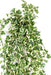 Edera Artificiale Su Palo 130 Cm 801 Foglie Verde Bianco