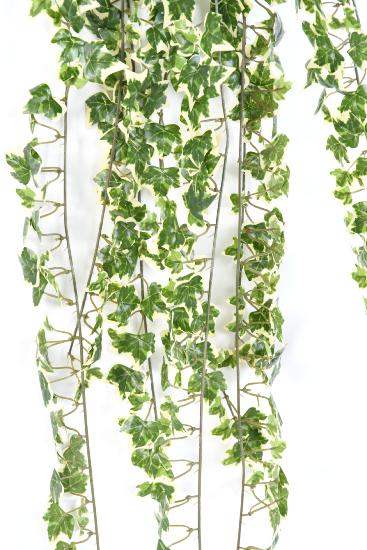 Edera Artificiale Su Palo 130 Cm 801 Foglie Verde Bianco