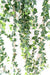Edera Artificiale Su Paletto 200 Cm 1039 Foglie