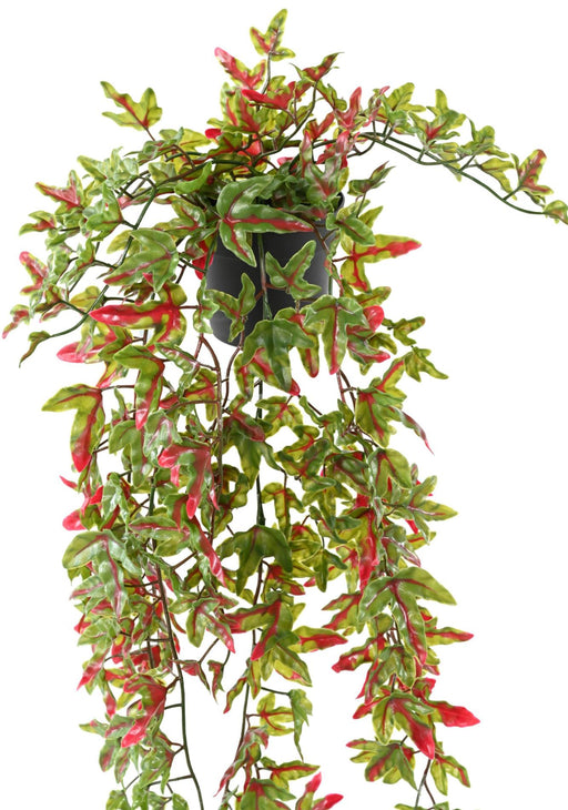 Edera Artificiale In Vaso Da 70Cm Per Decorazione Esterni