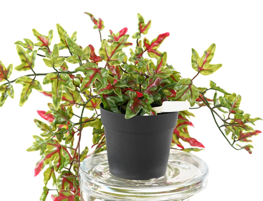 Edera Artificiale In Vaso Da 70Cm Per Decorazione Esterni