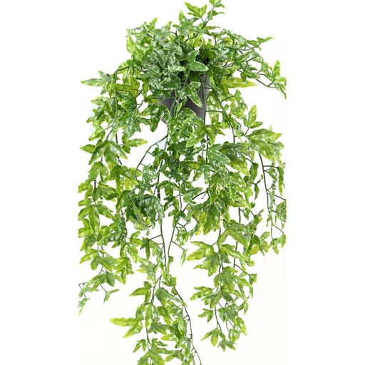 Edera Artificiale In Vaso Per La Decorazione Esterna