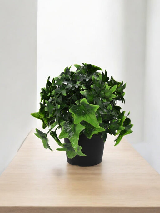 Edera - Pianta Artificiale Da Esterno In Vaso