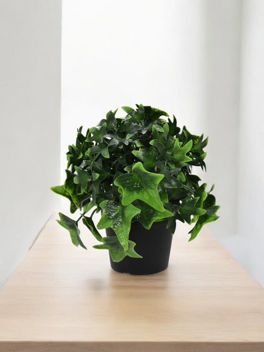 Edera - Pianta Artificiale Da Esterno In Vaso