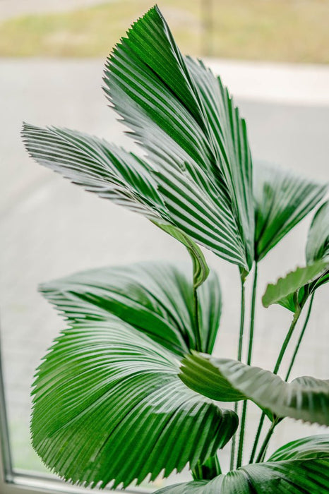 Lucuala Grandis - Grande Pianta Artificiale