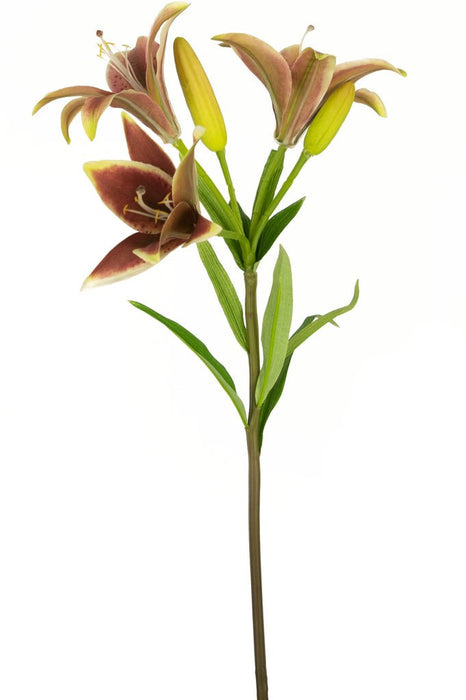 Giglio Asiatico Artificiale Rosa Antico