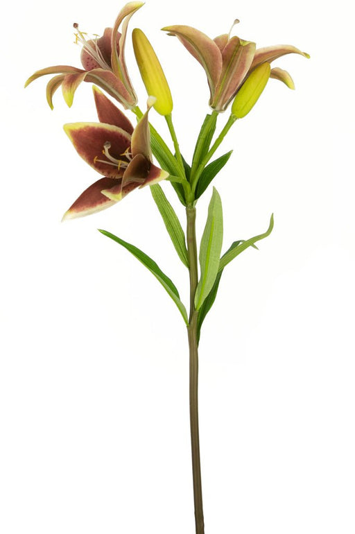 Giglio Asiatico Artificiale Rosa Antico