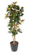 Fiore Di Magnolia Artificiale 8 Fiori 185 Cm Bianco