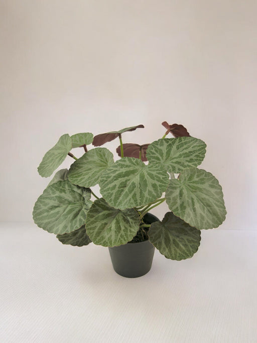 Malus - Pianta Verde Artificiale