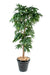 Albero Di Mango Artificiale 150 Cm Pianta Decorativa Da Interno
