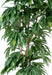 Albero Di Mango Artificiale 180 Cm Pianta Da Interno Verde