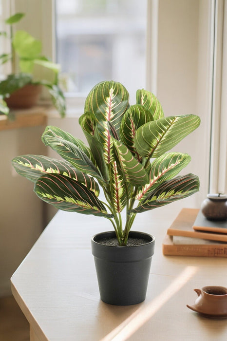 Pianta Artificiale Marantha Fascinator - H30Cm, Ø12Cm