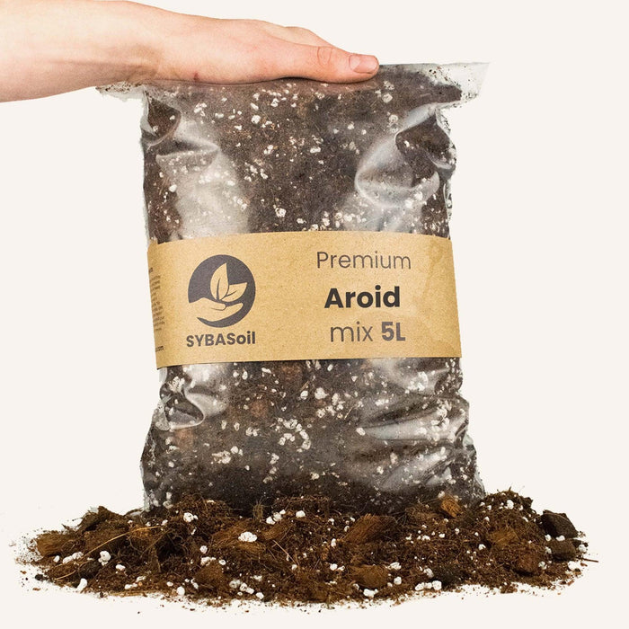 Miscela Di Araceae - 5L