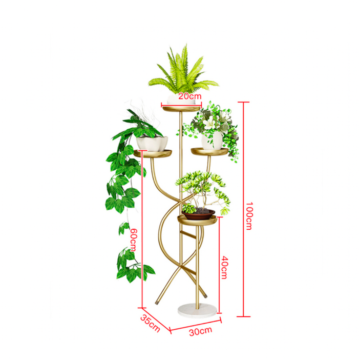 Arredamento D'interni Design Pianta Danza