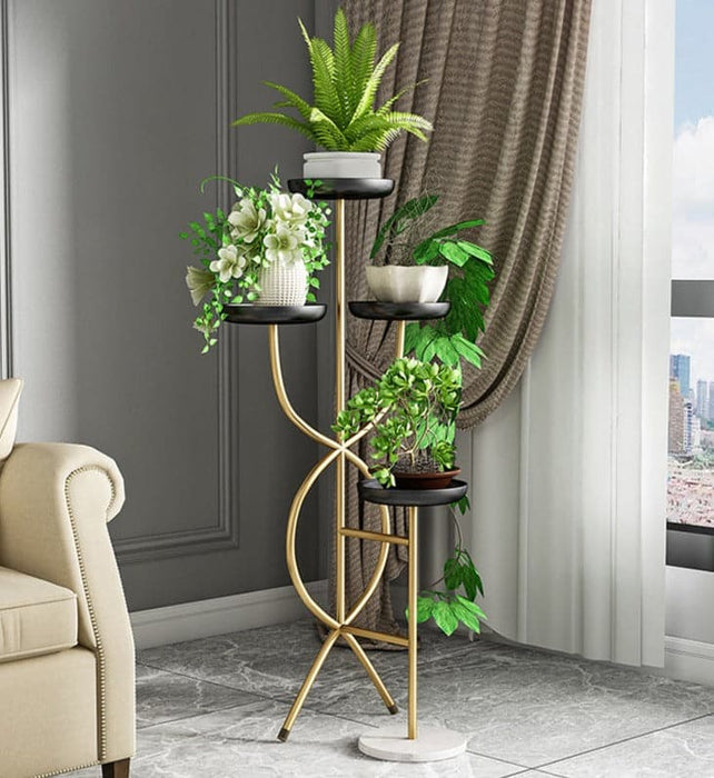 Arredamento D'interni Design Pianta Danza