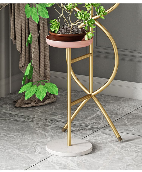 Arredamento D'interni Design Pianta Danza