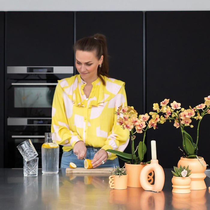 Mix Di 3 Piante Succulente E Relativi Vasi In Ceramica Color Pesca