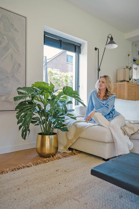 Monstera Deluxe - Grande Pianta Artificiale