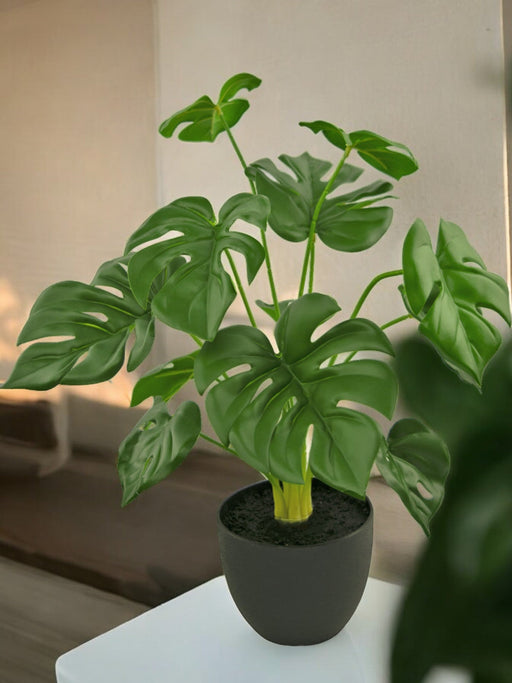 Monstera - Pianta Verde Artificiale