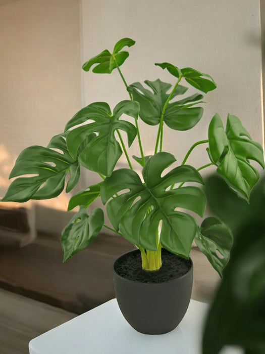 Monstera - Pianta Verde Artificiale
